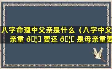 八字命理中父亲是什么（八字中父亲重 🦊 要还 🦆 是母亲重要）